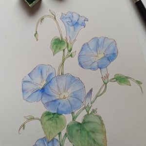 original Watercolor painting flower